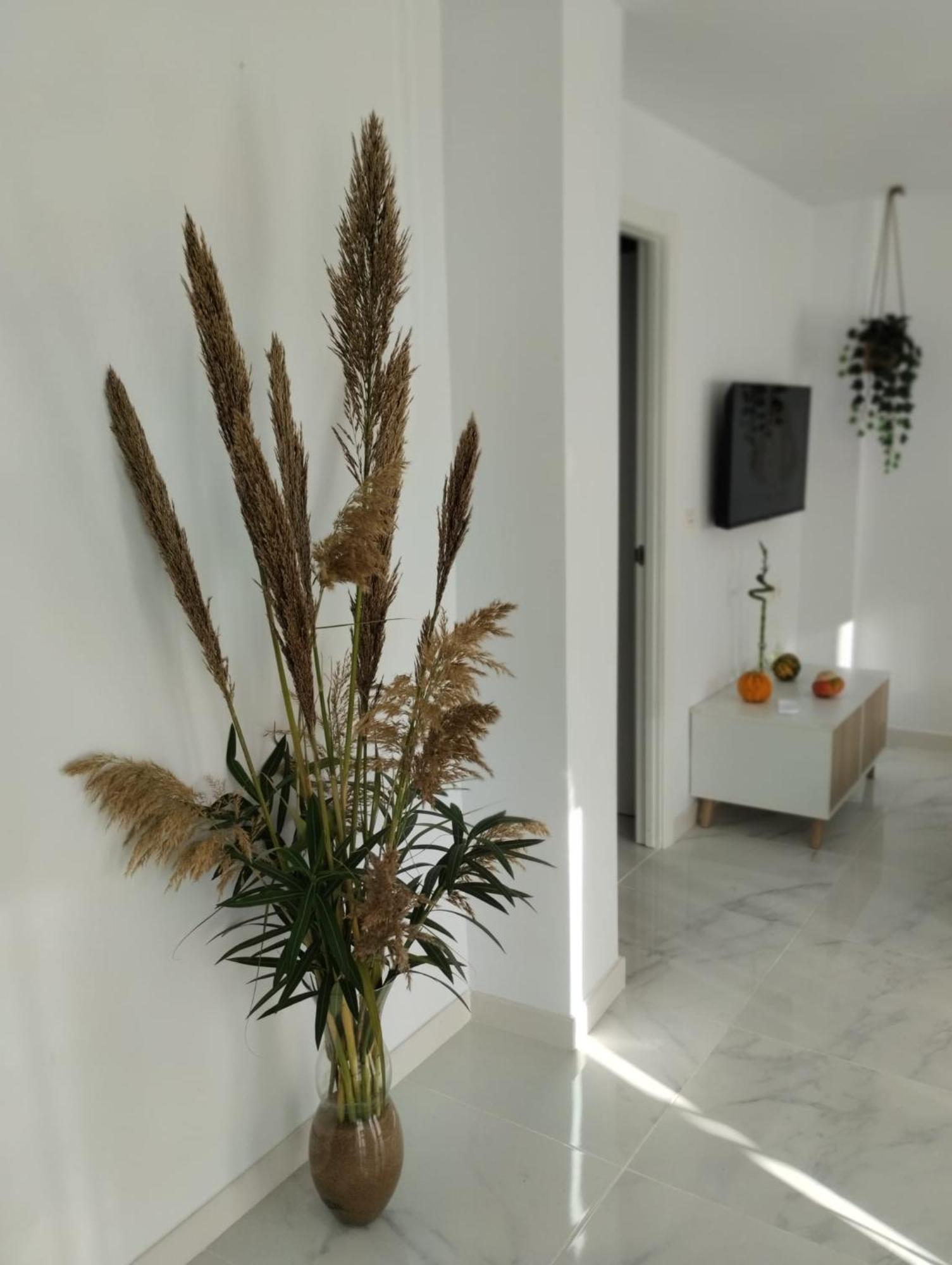 Apartamento Sun Gate Jerez de la Frontera Luaran gambar